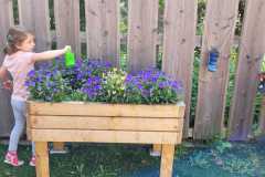 IMG-20220613-WA0000