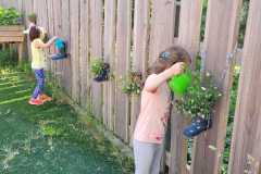 IMG-20220613-WA0006